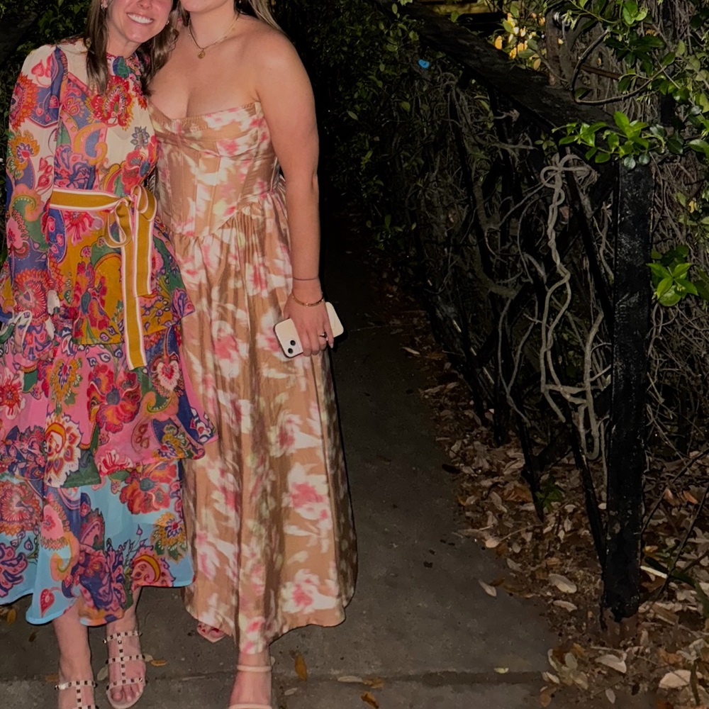 Bardot Pink and Tan Pleated Bustier Sundress